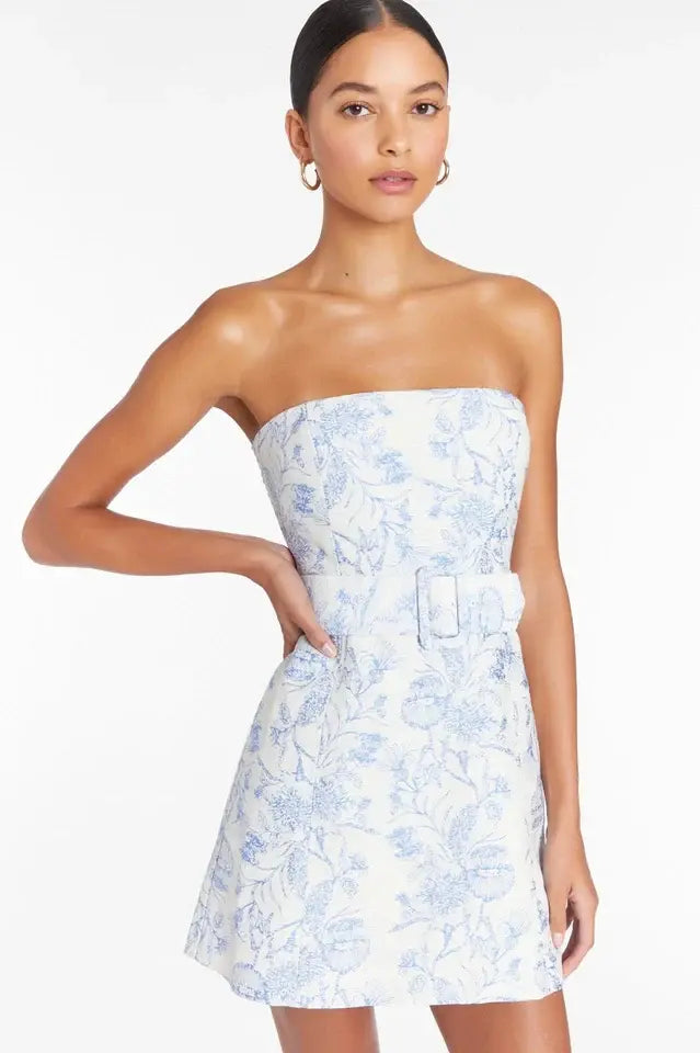 Fae Dress in Toile Brocade
